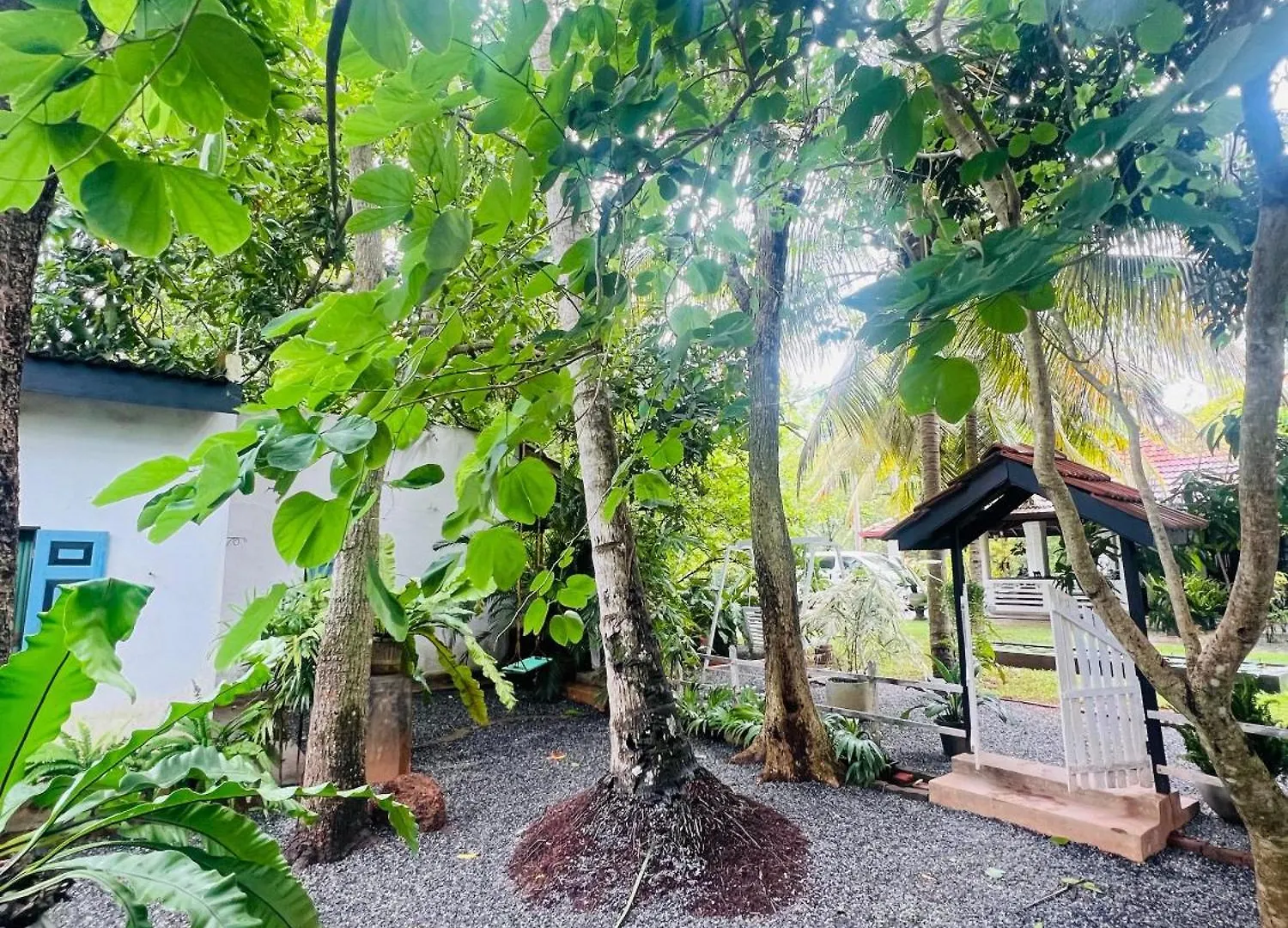 Serene Stay Negombo Sri Lanka