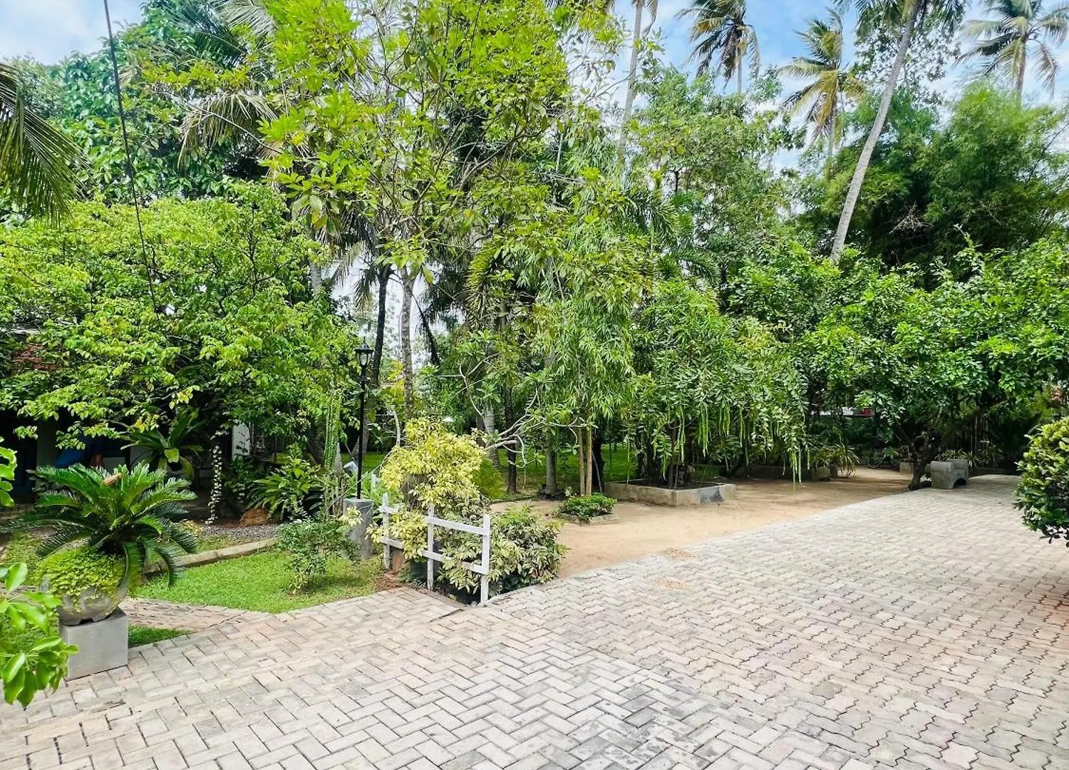 Apartment Serene Stay Negombo Sri Lanka
